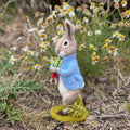 Beatrix Potter - Peter Rabbit and the Stolen Radishes Needle Felting Craft Kit figure2